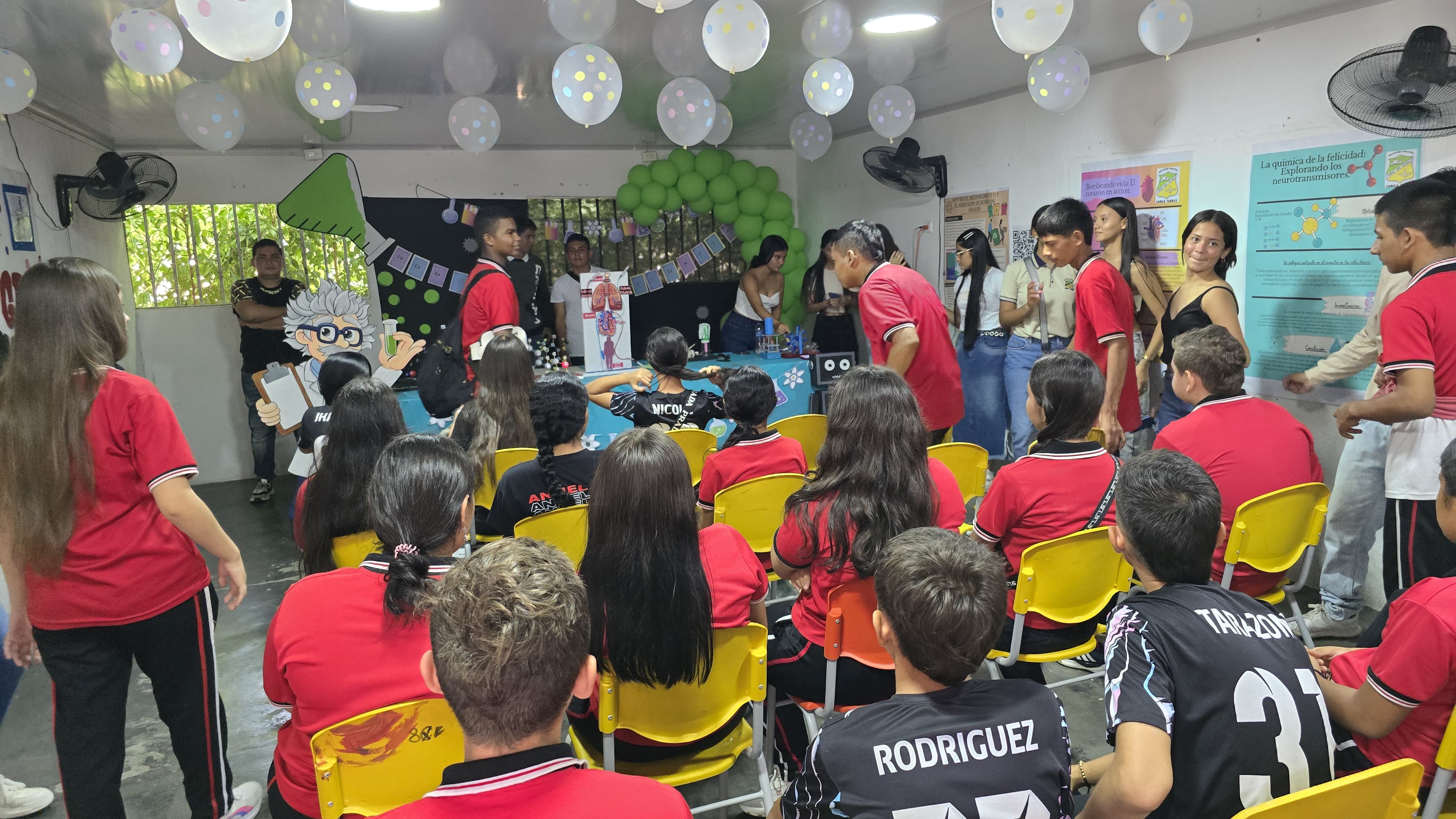 Descripción de la imagen