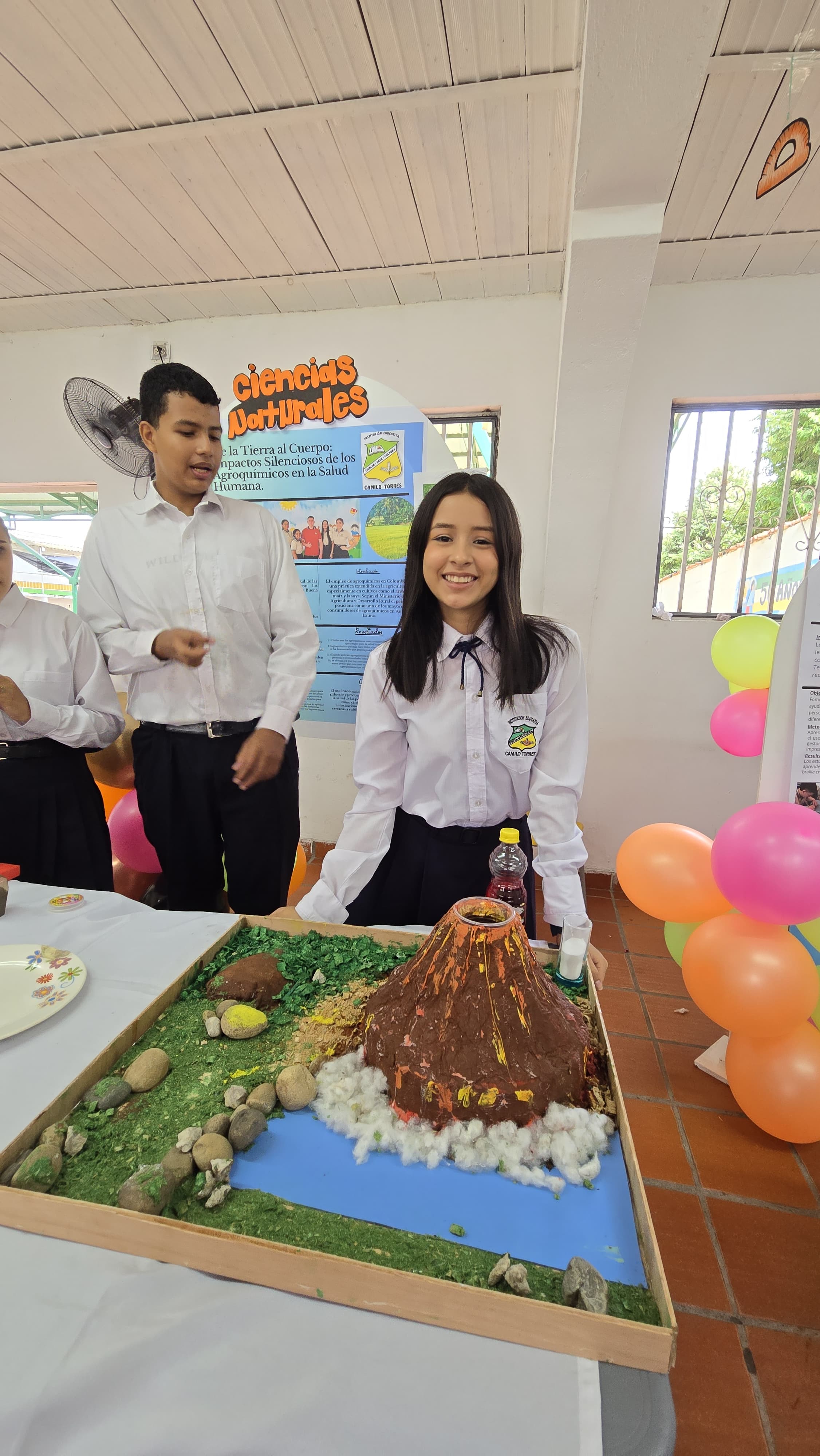 Descripción de la imagen