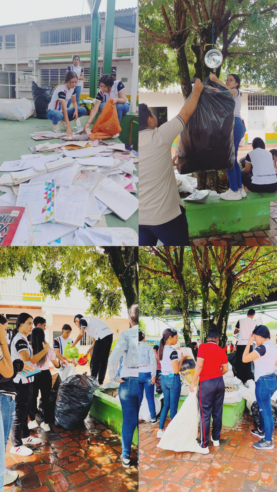 Descripción de la imagen