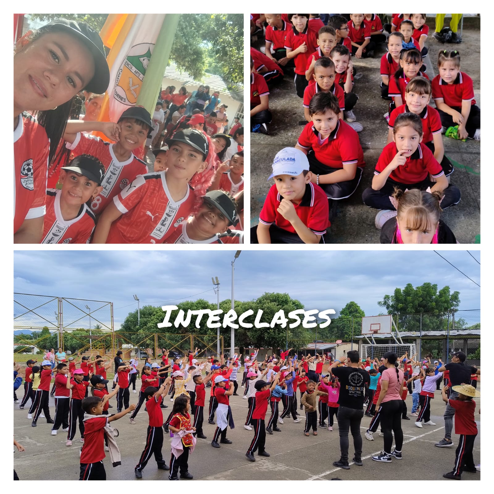 Descripción de la imagen